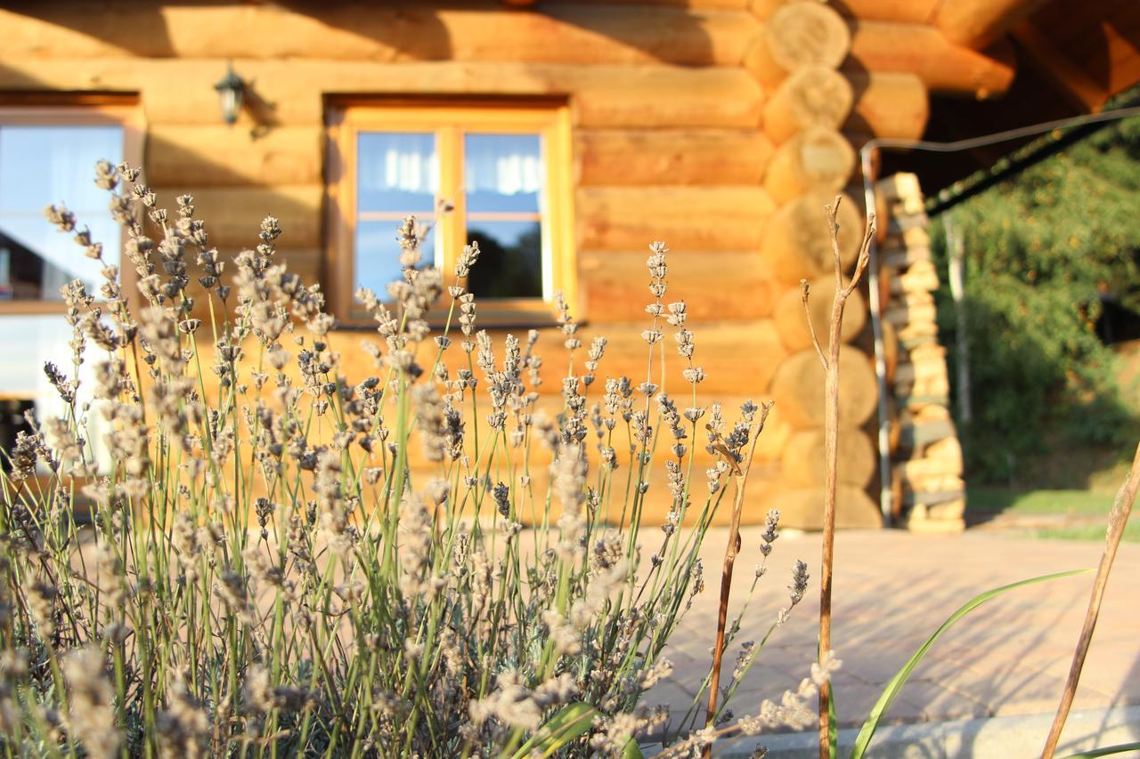 Ranch Bystra Villa Bystra nad Jizerou Bagian luar foto