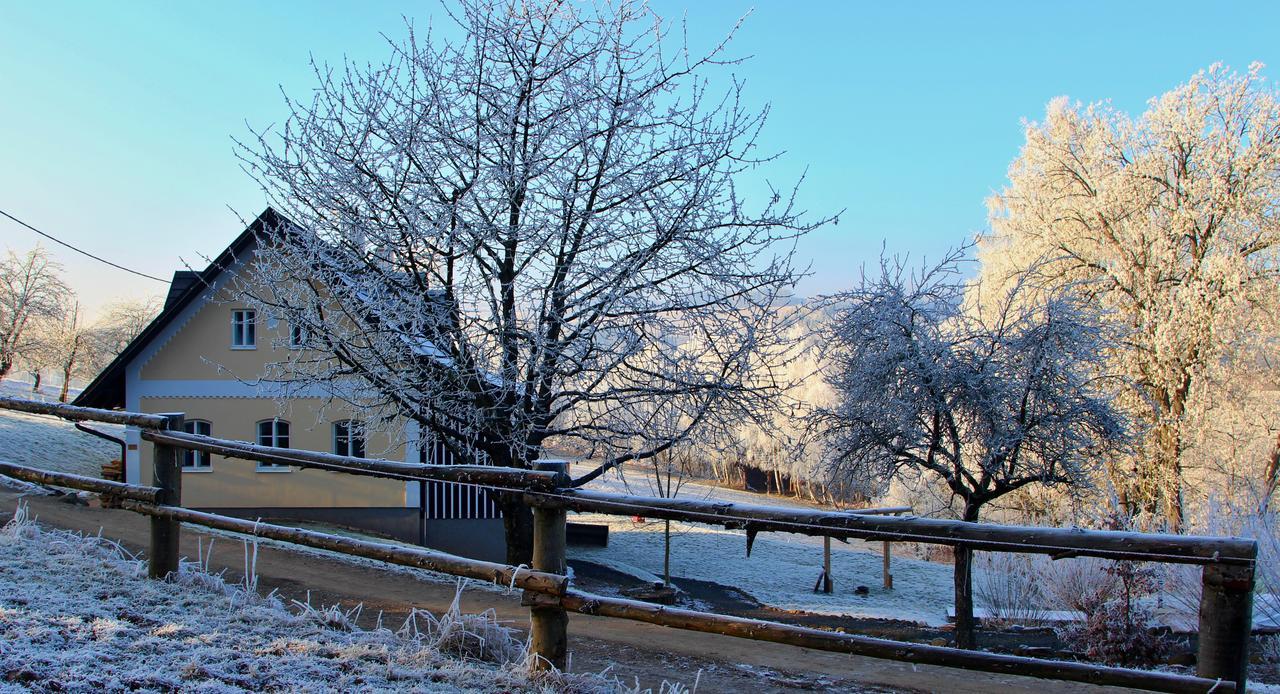 Ranch Bystra Villa Bystra nad Jizerou Bagian luar foto